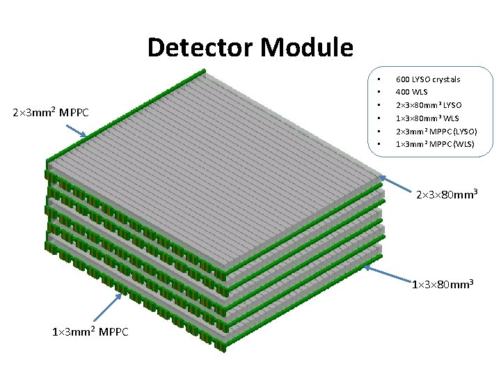 Detector Module 2× 3 mm 2 MPPC • • • 600 LYSO crystals 400