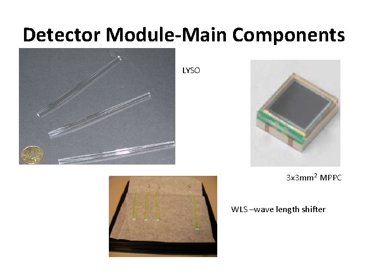 Detector Module-Main Components LYSO 3 x 3 mm 2 MPPC WLS –wave length shifter
