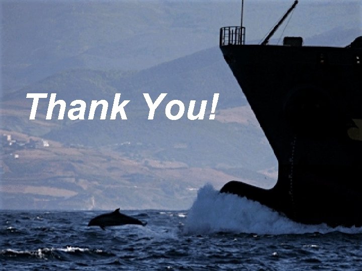 Thank You! 