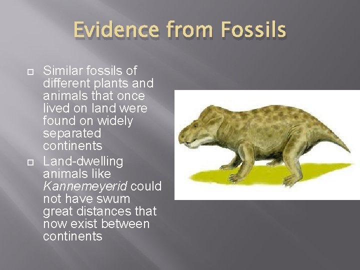 Evidence from Fossils Similar fossils of different plants and animals that once lived on