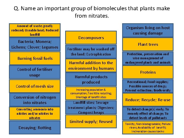Q. Name an important group of biomolecules that plants make from nitrates. Amount of
