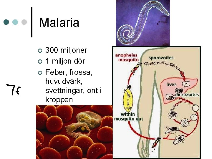 Malaria ¢ ¢ ¢ 300 miljoner 1 miljon dör Feber, frossa, huvudvärk, svettningar, ont