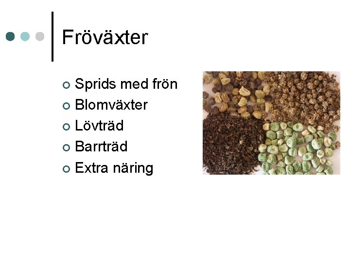 Fröväxter Sprids med frön ¢ Blomväxter ¢ Lövträd ¢ Barrträd ¢ Extra näring ¢