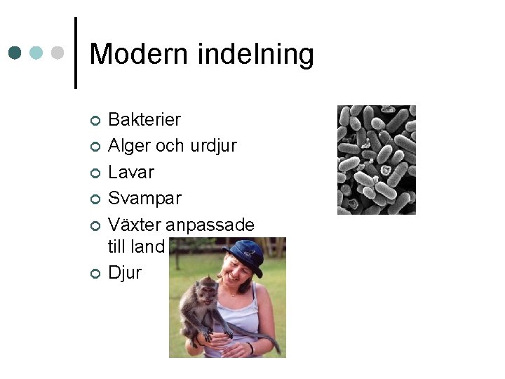 Modern indelning ¢ ¢ ¢ Bakterier Alger och urdjur Lavar Svampar Växter anpassade till