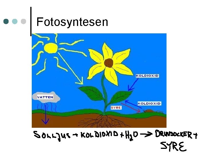 Fotosyntesen 