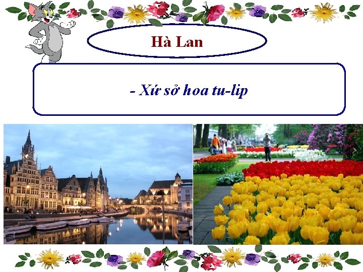 Hà Lan - Xứ sở hoa tu-lip 