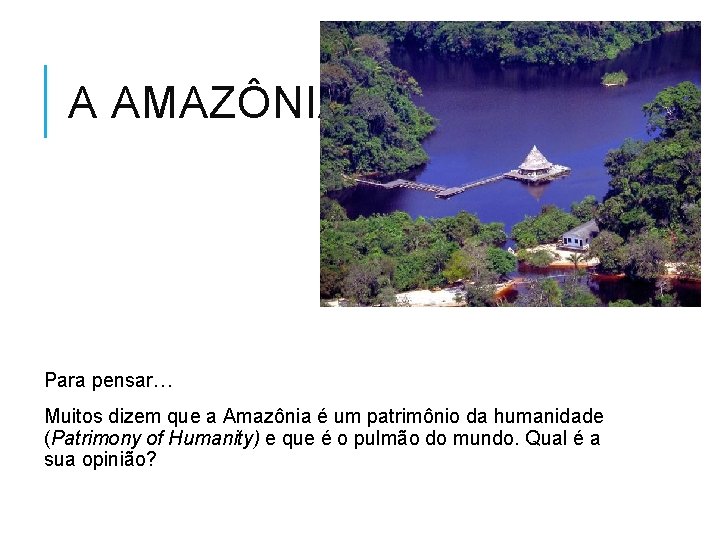 A AMAZÔNIA Para pensar… Muitos dizem que a Amazônia é um patrimônio da humanidade