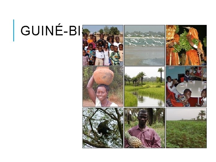 GUINÉ-BISSAU 