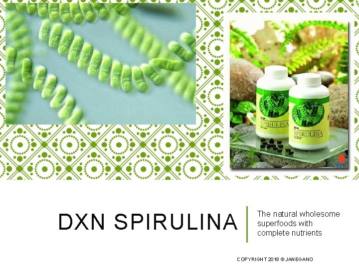 DXN SPIRULINA The natural wholesome superfoods with complete nutrients COPYRIGHT 2018 © JANEGANO 