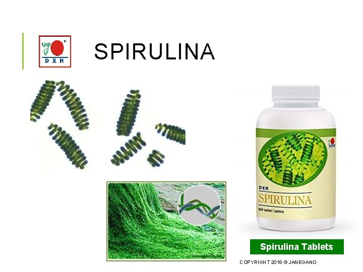 SPIRULINA Spirulina Tablets COPYRIGHT 2018 © JANEGANO 