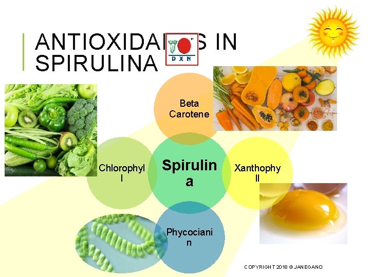 ANTIOXIDANTS IN SPIRULINA Beta Carotene Chlorophyl l Spirulin a Xanthophy ll Phycociani n COPYRIGHT