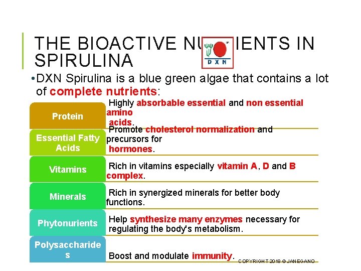 THE BIOACTIVE NUTRIENTS IN SPIRULINA • DXN Spirulina is a blue green algae that