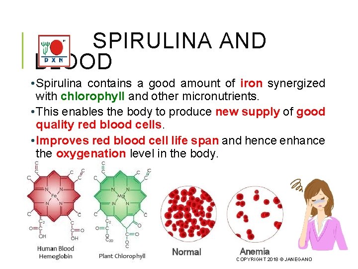 SPIRULINA AND BLOOD • Spirulina contains a good amount of iron synergized with chlorophyll