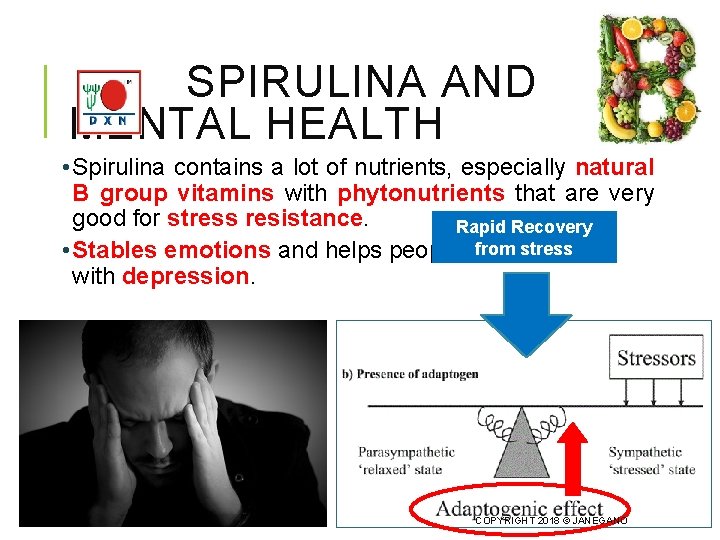SPIRULINA AND MENTAL HEALTH • Spirulina contains a lot of nutrients, especially natural B