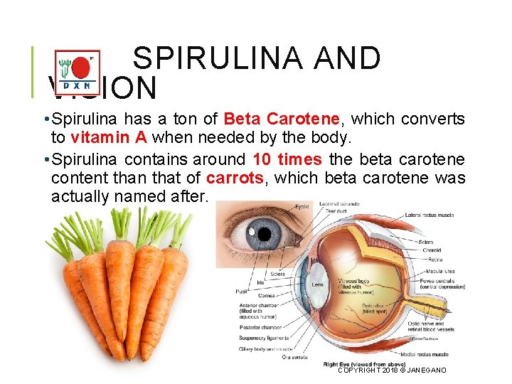 SPIRULINA AND VISION • Spirulina has a ton of Beta Carotene, which converts to