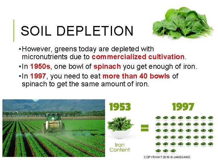 SOIL DEPLETION • However, greens today are depleted with micronutrients due to commercialized cultivation.