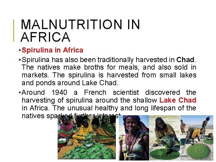 MALNUTRITION IN AFRICA • Spirulina in Africa • Spirulina has also been traditionally harvested