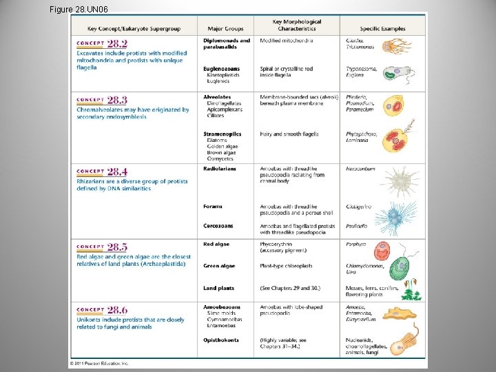 Figure 28. UN 06 