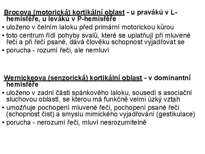 Brocova (motorická) kortikální oblast - u praváků v Lhemisféře, u leváků v P-hemisféře •