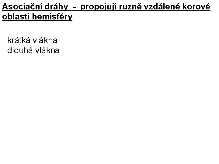 Asociační dráhy - propojují různě vzdálené korové oblasti hemisféry - krátká vlákna - dlouhá