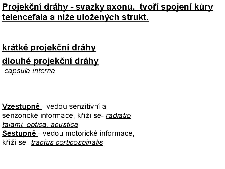 Projekční dráhy - svazky axonů, tvoří spojení kůry telencefala a níže uložených strukt. krátké