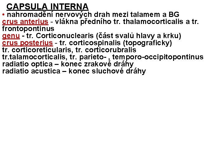 CAPSULA INTERNA • nahromadění nervových drah mezi talamem a BG crus anterius - vlákna