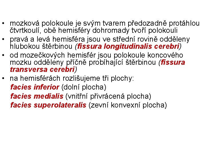  • mozková polokoule je svým tvarem předozadně protáhlou čtvrtkoulí, obě hemisféry dohromady tvoří