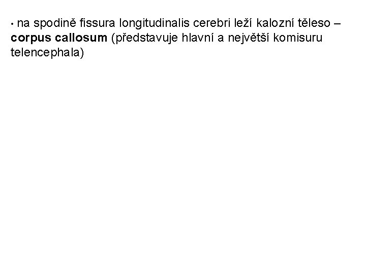  • na spodině fissura longitudinalis cerebri leží kalozní těleso – corpus callosum (představuje