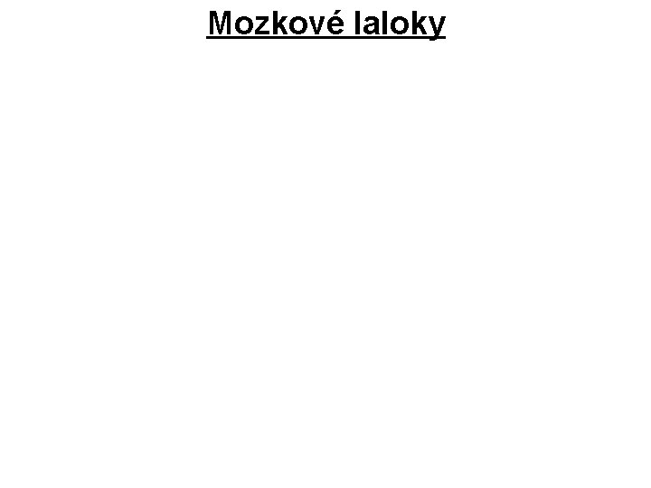 Mozkové laloky 