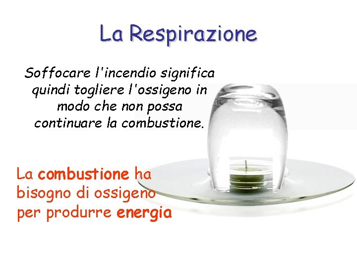 La Respirazione Soffocare l'incendio significa quindi togliere l'ossigeno in modo che non possa continuare