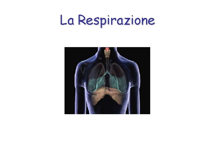 La Respirazione 