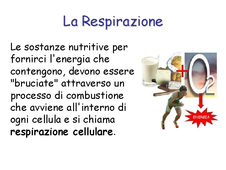 La Respirazione Le sostanze nutritive per fornirci l'energia che contengono, devono essere "bruciate" attraverso