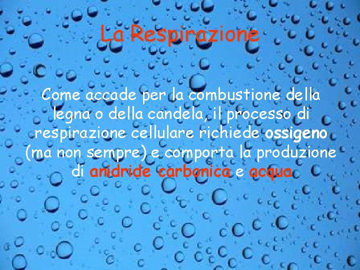 La Respirazione Come accade per la combustione della legna o della candela, il processo