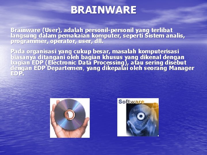 BRAINWARE Brainware (User), adalah personil-personil yang terlibat langsung dalam pemakaian komputer, seperti Sistem analis,