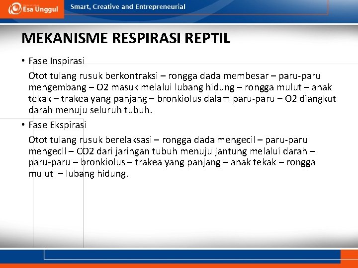 MEKANISME RESPIRASI REPTIL • Fase Inspirasi Otot tulang rusuk berkontraksi – rongga dada membesar