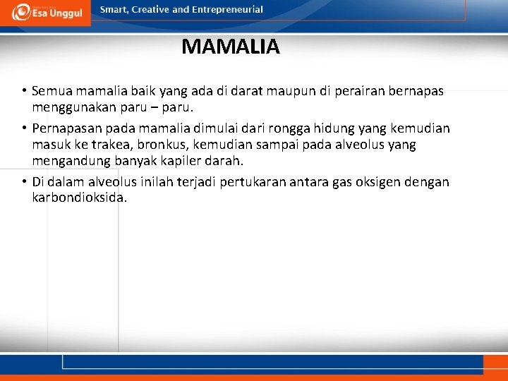 MAMALIA • Semua mamalia baik yang ada di darat maupun di perairan bernapas menggunakan