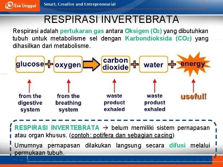 RESPIRASI INVERTEBRATA Respirasi adalah pertukaran gas antara Oksigen (O 2) yang dibutuhkan tubuh untuk