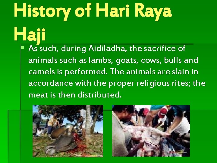 History of Hari Raya Haji § As such, during Aidiladha, the sacrifice of animals