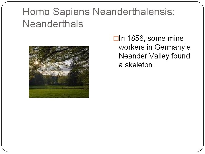 Homo Sapiens Neanderthalensis: Neanderthals �In 1856, some mine workers in Germany’s Neander Valley found Homo Sapiens Neanderthalensis: Neanderthals �In 1856, some mine workers in Germany’s Neander Valley found