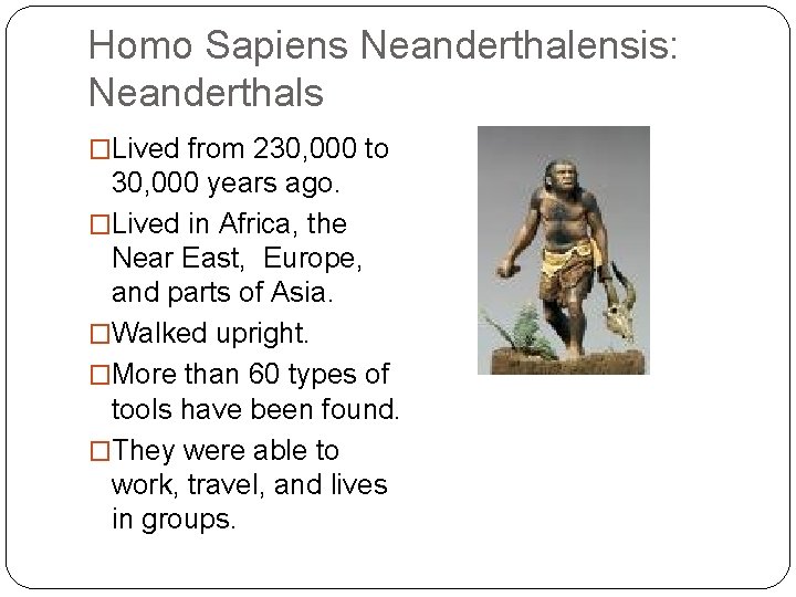 Homo Sapiens Neanderthalensis: Neanderthals �Lived from 230, 000 to 30, 000 years ago. �Lived Homo Sapiens Neanderthalensis: Neanderthals �Lived from 230, 000 to 30, 000 years ago. �Lived