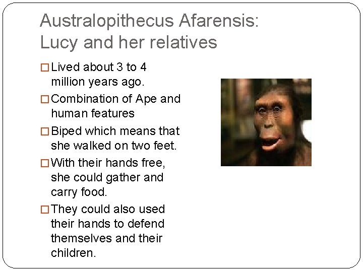 Australopithecus Afarensis: Lucy and her relatives � Lived about 3 to 4 million years Australopithecus Afarensis: Lucy and her relatives � Lived about 3 to 4 million years