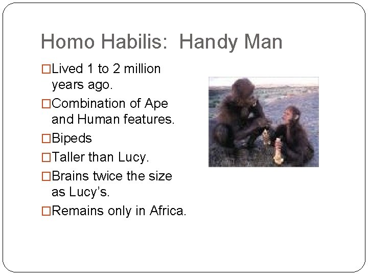 Homo Habilis: Handy Man �Lived 1 to 2 million years ago. �Combination of Ape Homo Habilis: Handy Man �Lived 1 to 2 million years ago. �Combination of Ape