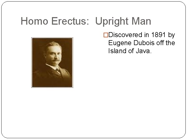 Homo Erectus: Upright Man �Discovered in 1891 by Eugene Dubois off the Island of Homo Erectus: Upright Man �Discovered in 1891 by Eugene Dubois off the Island of