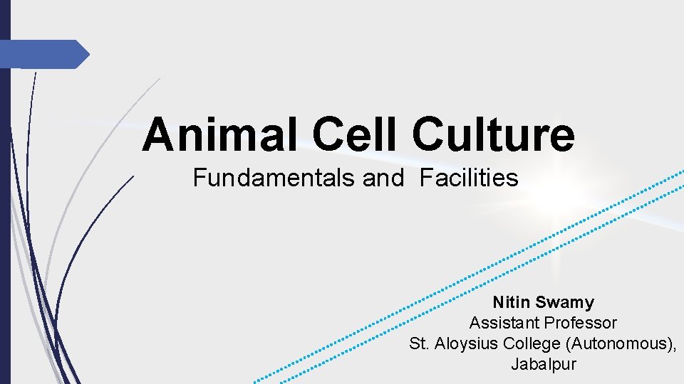 Animal Cell Culture Fundamentals and Facilities Nitin Swamy Assistant Professor St. Aloysius College (Autonomous),