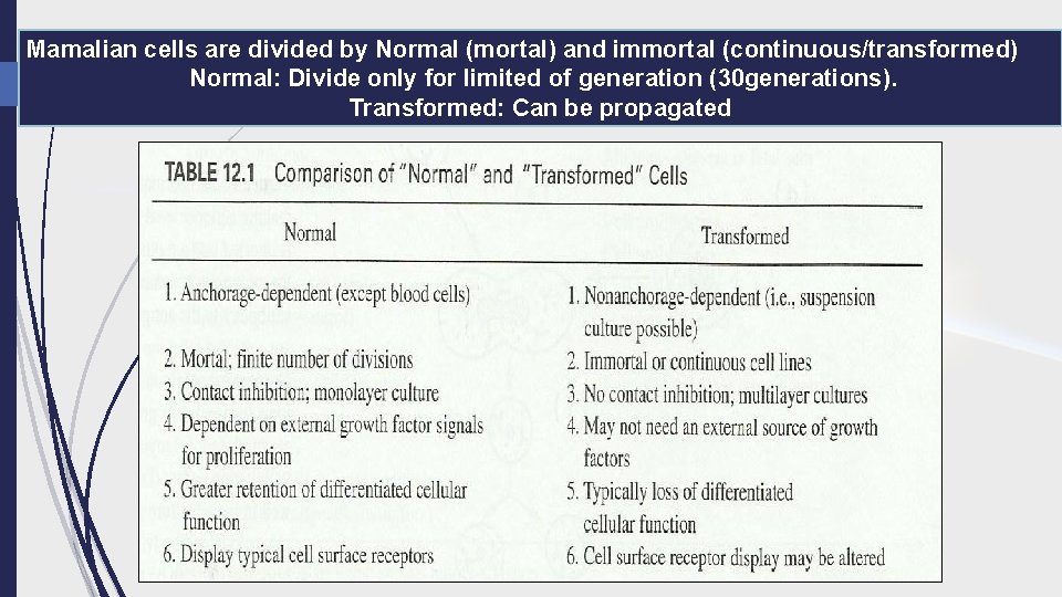 Mamalian cells are divided by Normal (mortal) and immortal (continuous/transformed) Normal: Divide only for
