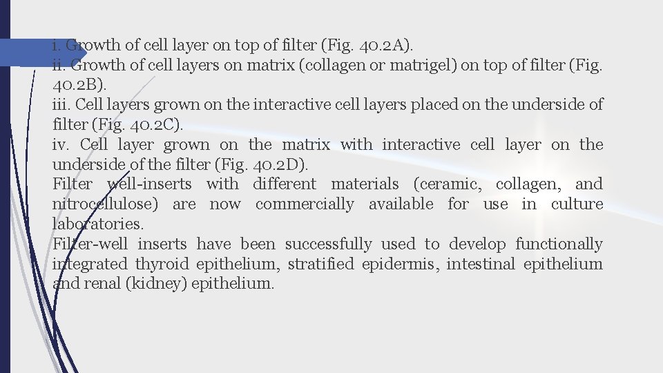 i. Growth of cell layer on top of filter (Fig. 40. 2 A). ii.