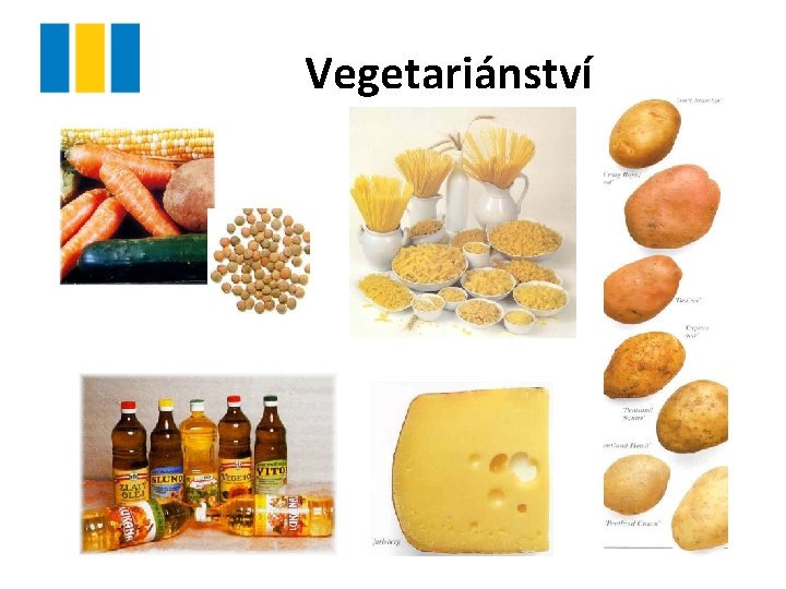 Vegetariánství 