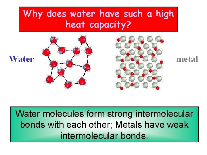 Why does water have such a high heat capacity? Water metal Water molecules form