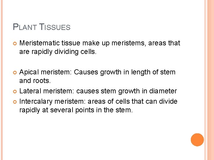 PLANT TISSUES Meristematic tissue make up meristems, areas that are rapidly dividing cells. Apical