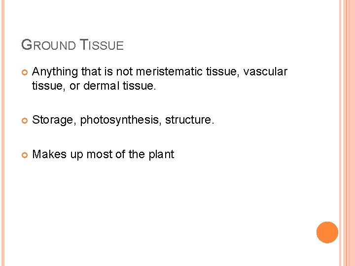 GROUND TISSUE Anything that is not meristematic tissue, vascular tissue, or dermal tissue. Storage,